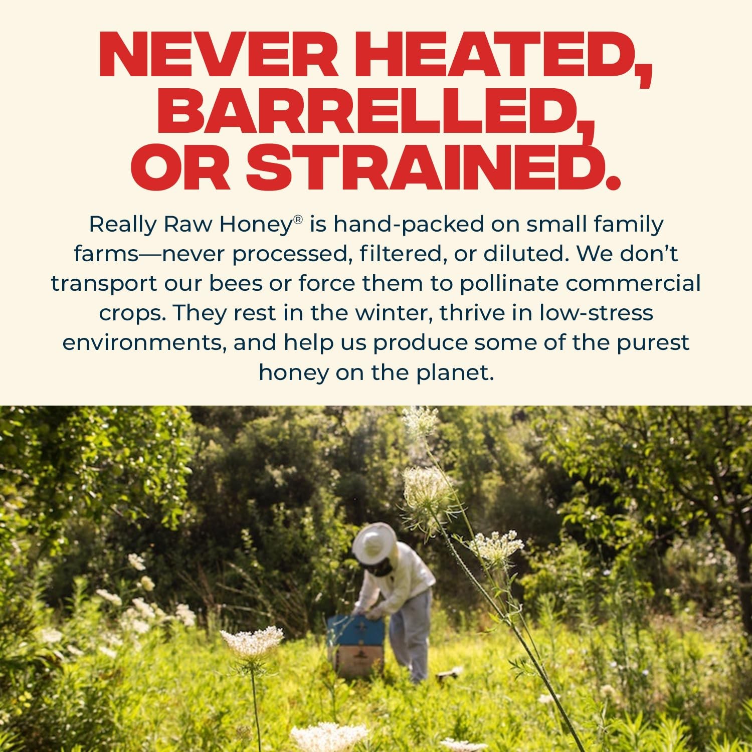 Really Raw Honey, Straight from the Hive, Never Heated or Filtered, Harvested…
