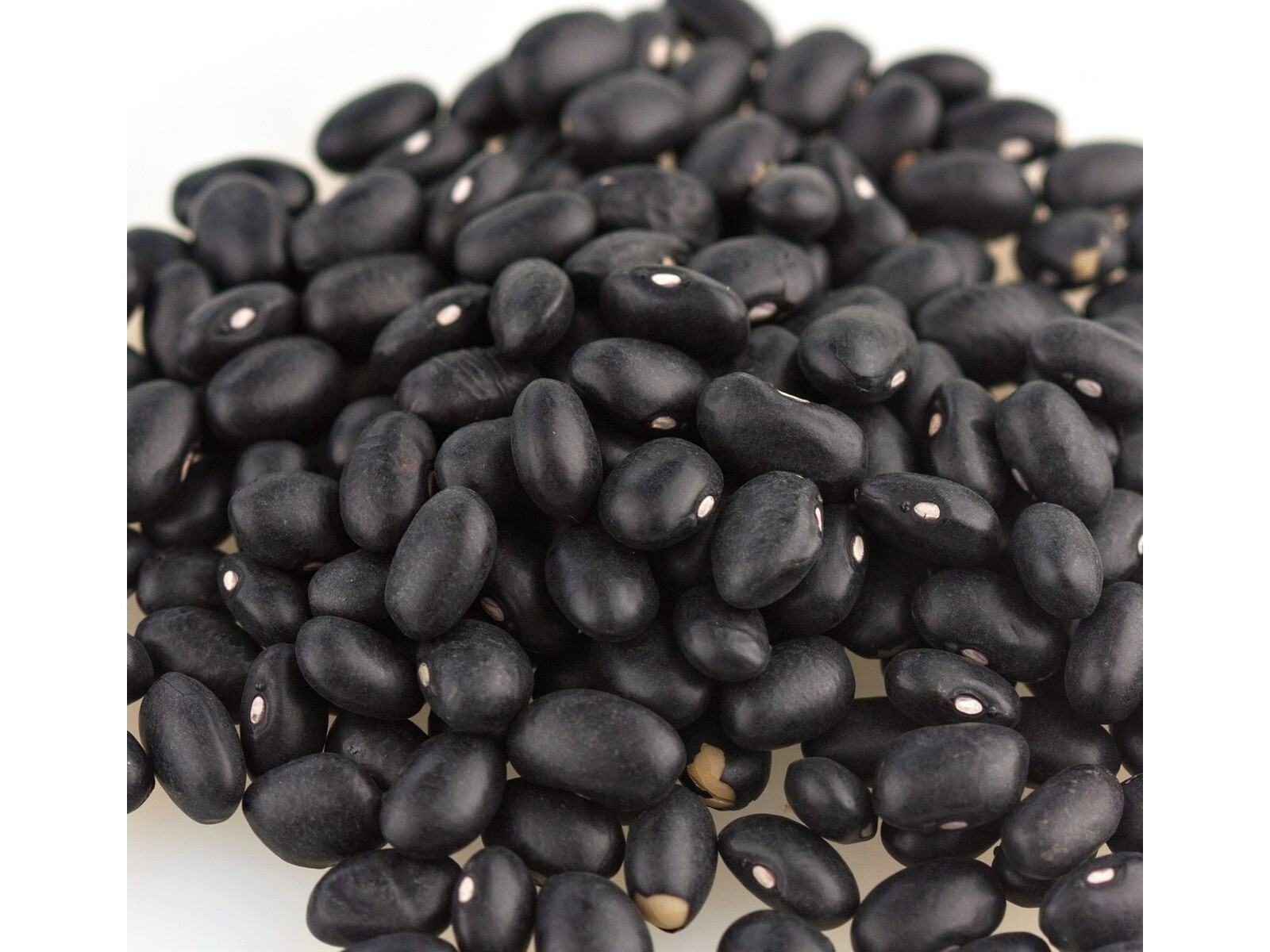 Organic Black Bean Beans 2 Pounds Free Shipping
