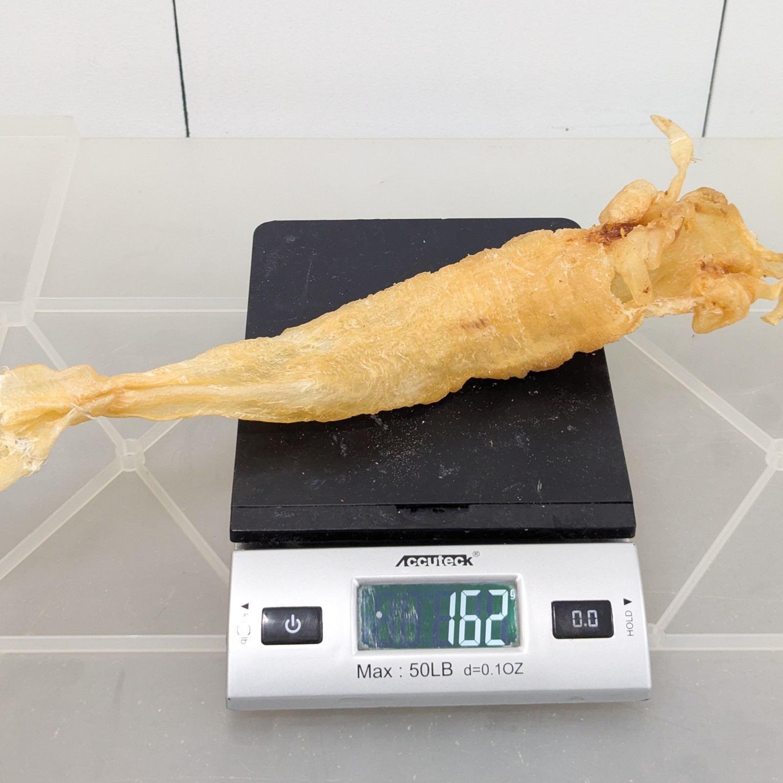 Extra Large Premium Wild-Caught Yellow Croaker Fish Maw 100% Natural 花胶魚肚