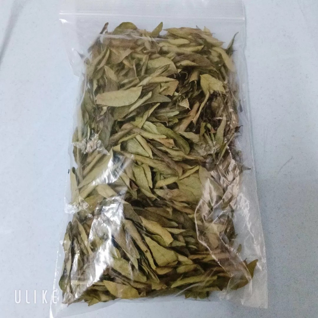 100g Organic Dried Curry Leaves Natural Pure Premium Cooking Herbs Free Shipping