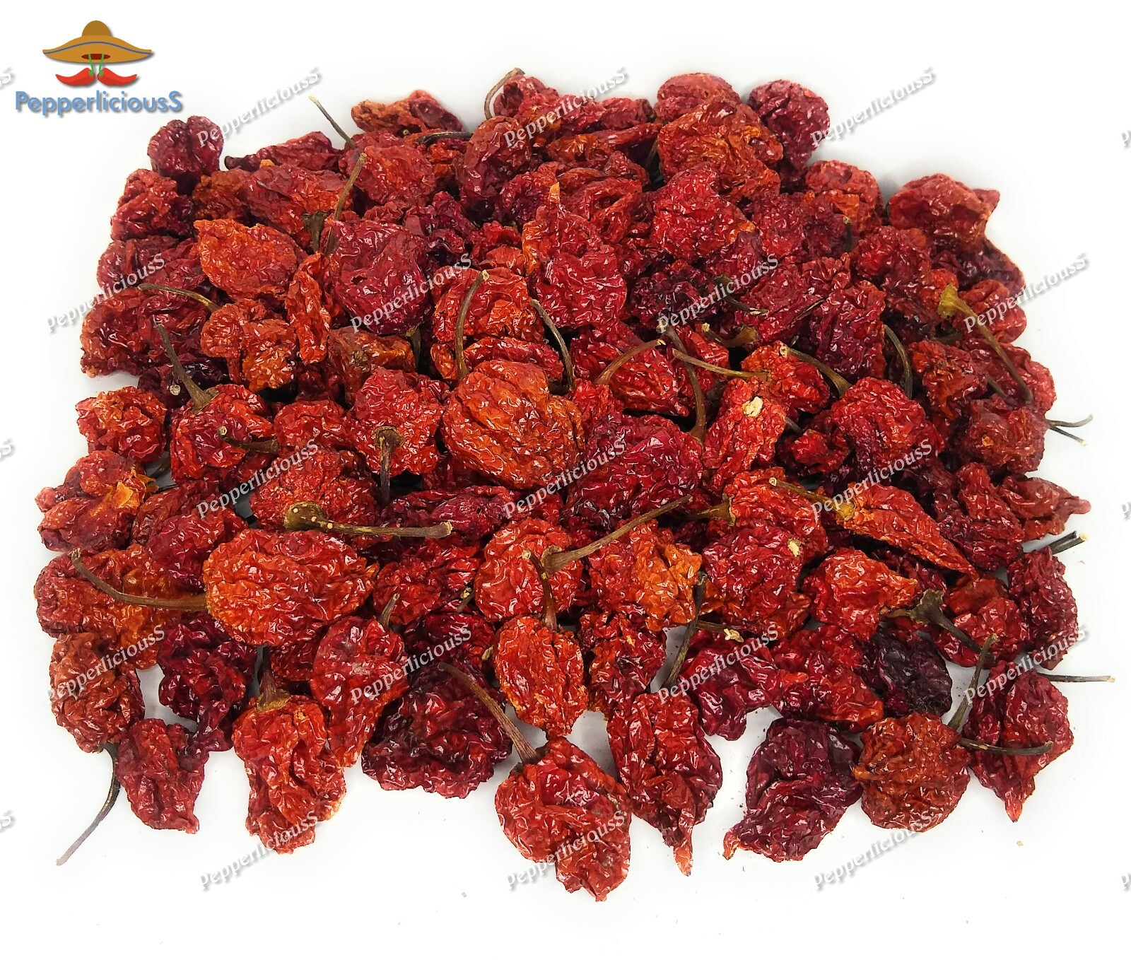 1kg / 2.2lbs — WHOLE DRIED CAROLINA REAPER PEPPER PODS — WORLDS HOTTEST CHILI