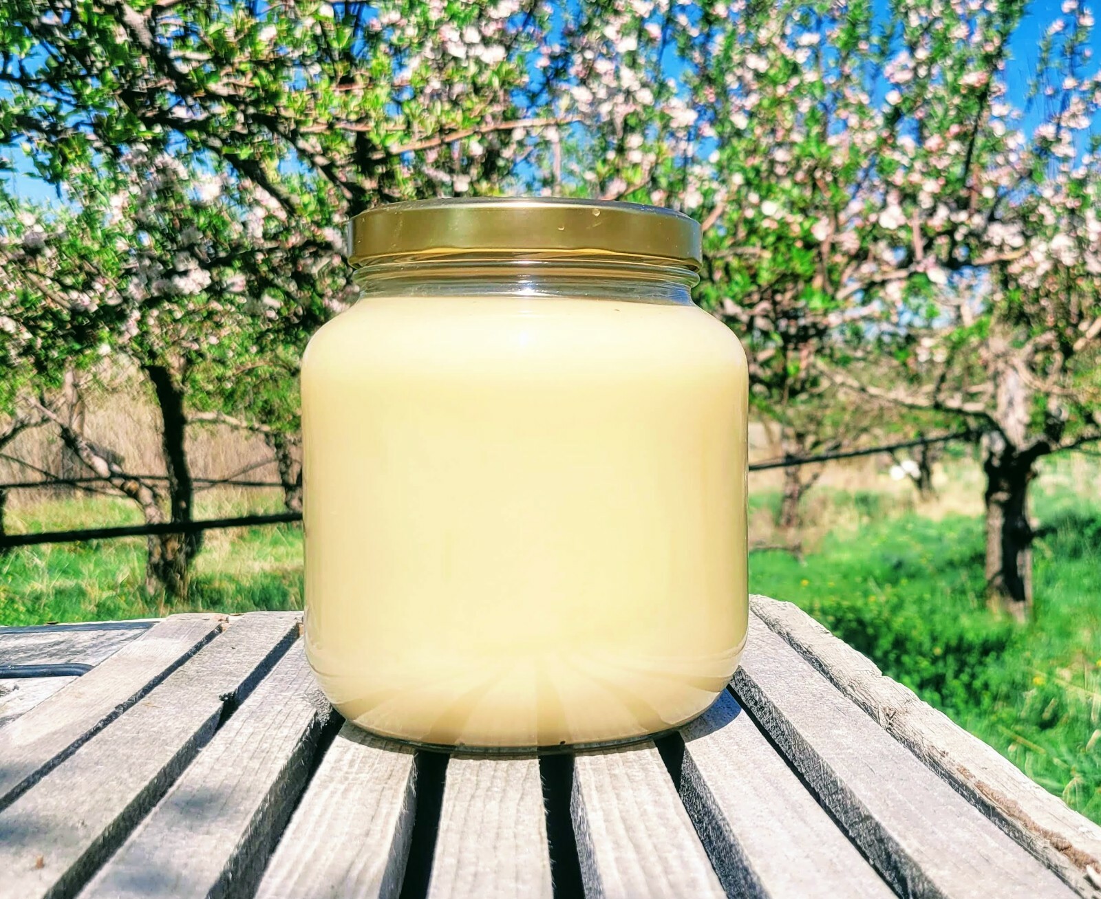 100% Pure Honey in Glass – Creamed! Raw & Unfiltered – Real Natural Honey – 5lbs