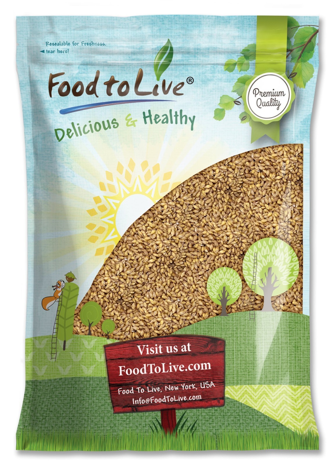 Hulled Barley Grain – 100% Whole Grain, Vegan, Great for Home Baking, Brewing