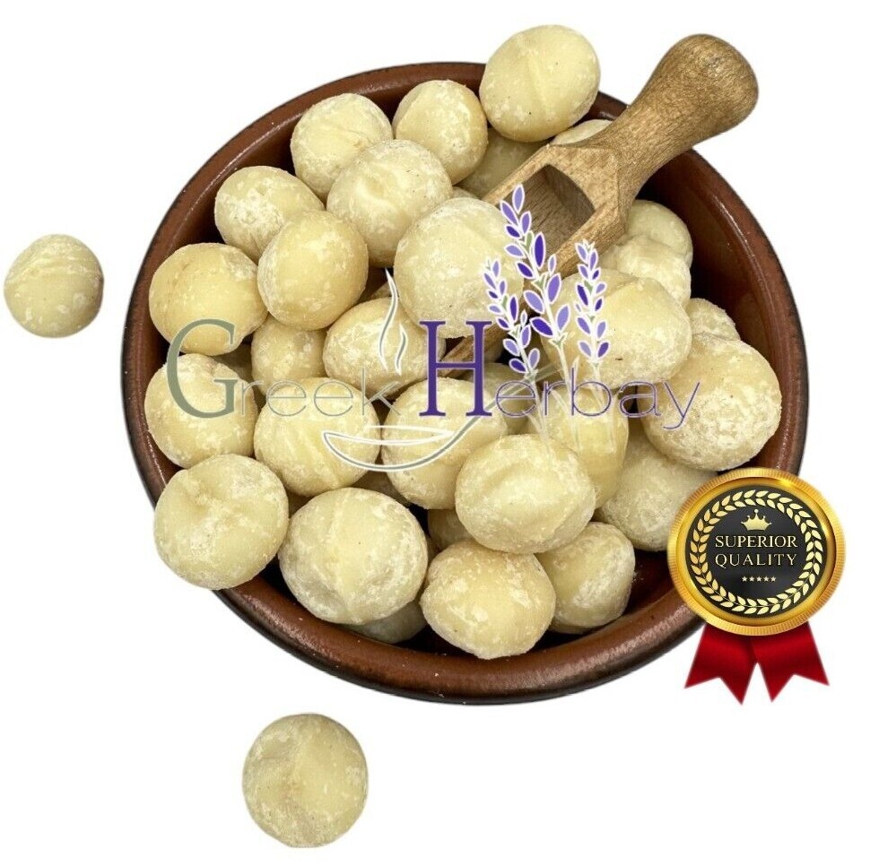 Raw Macadamia Dried Nuts – Macadamia Metraphylla 20g-1.9kg