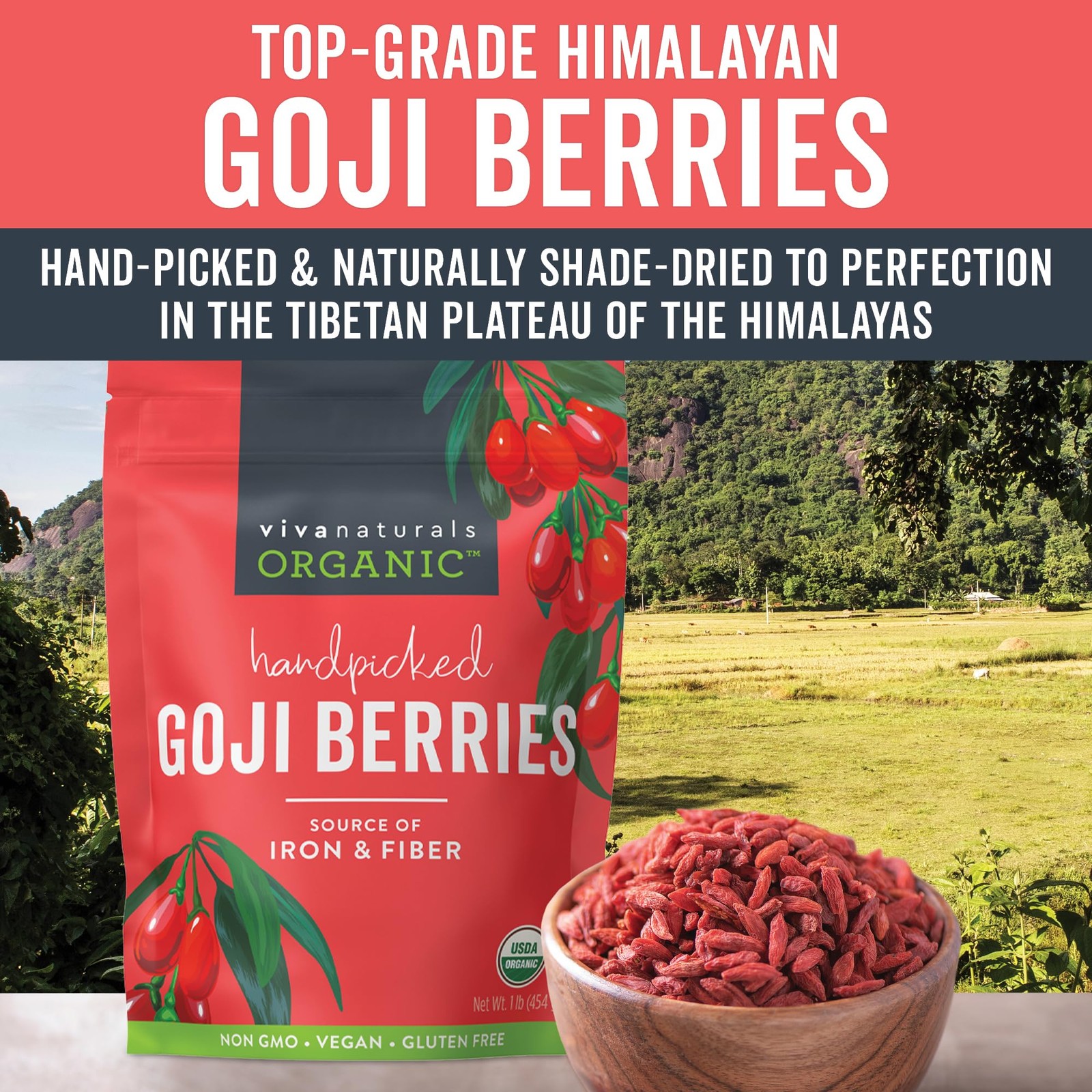 Viva Naturals Organic Dried Goji Berries, 1 lb (454 g) – 1 Pound, No Color