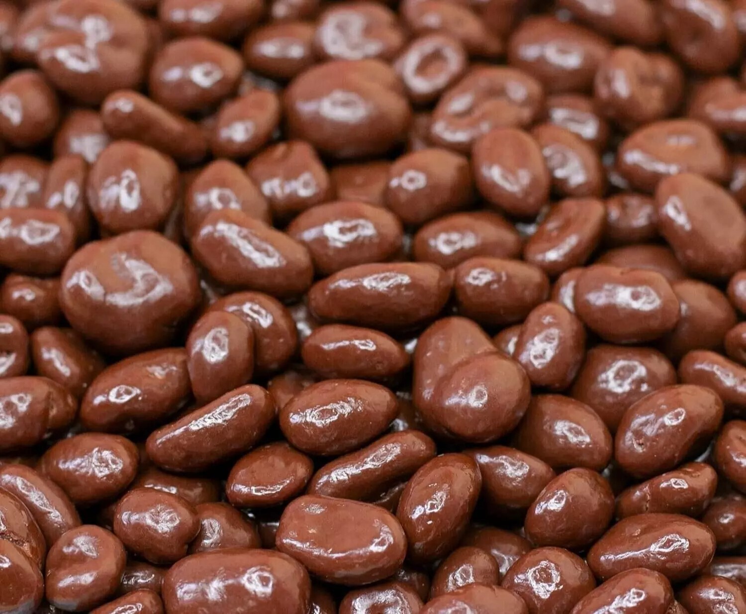 Gourmet Milk Chocolate Covered Dry-Roasted Peanuts – ONE POUND