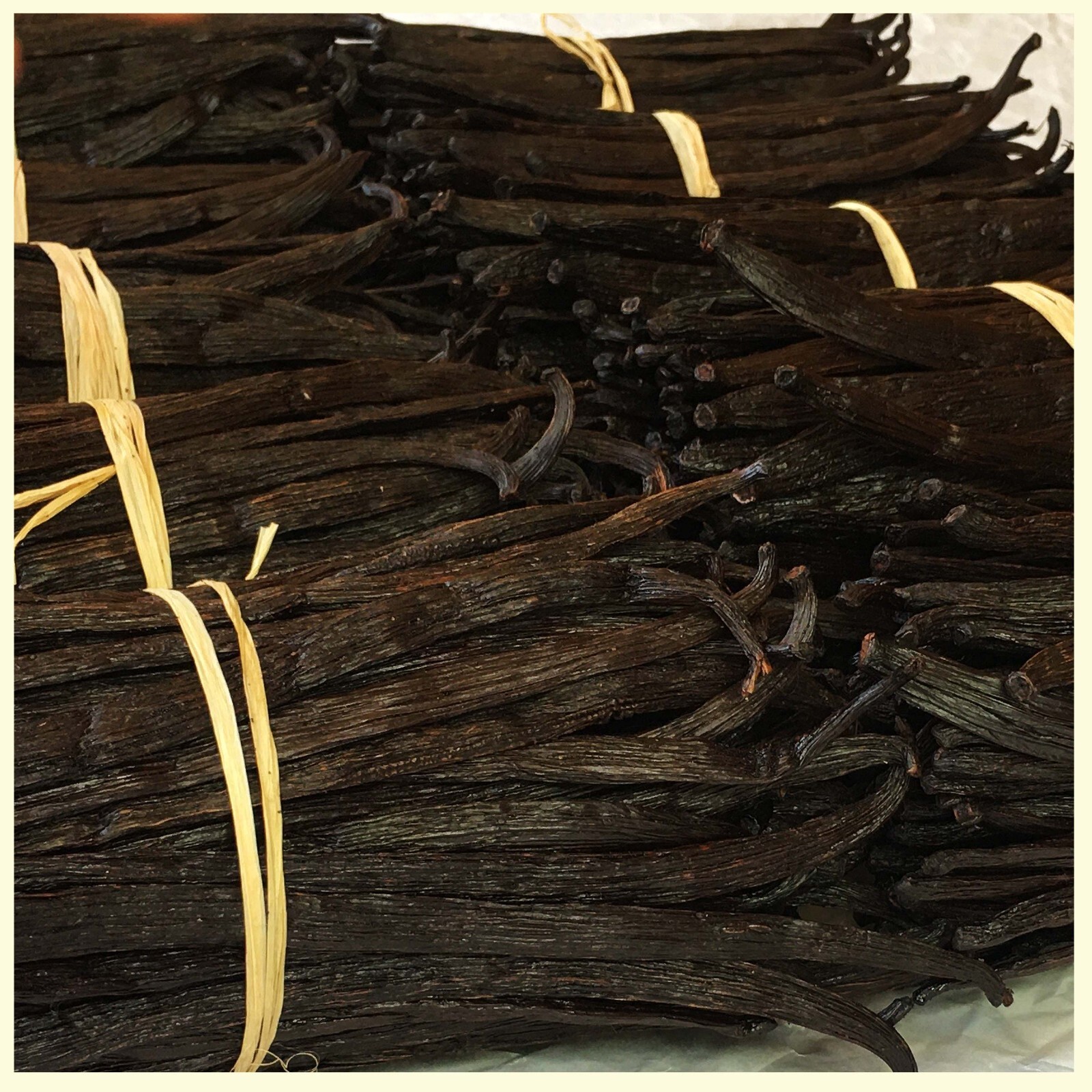 1Lb. Whole Vanilla Beans Grade A – Bulk Vanilla Bean For Making Vanilla Extract