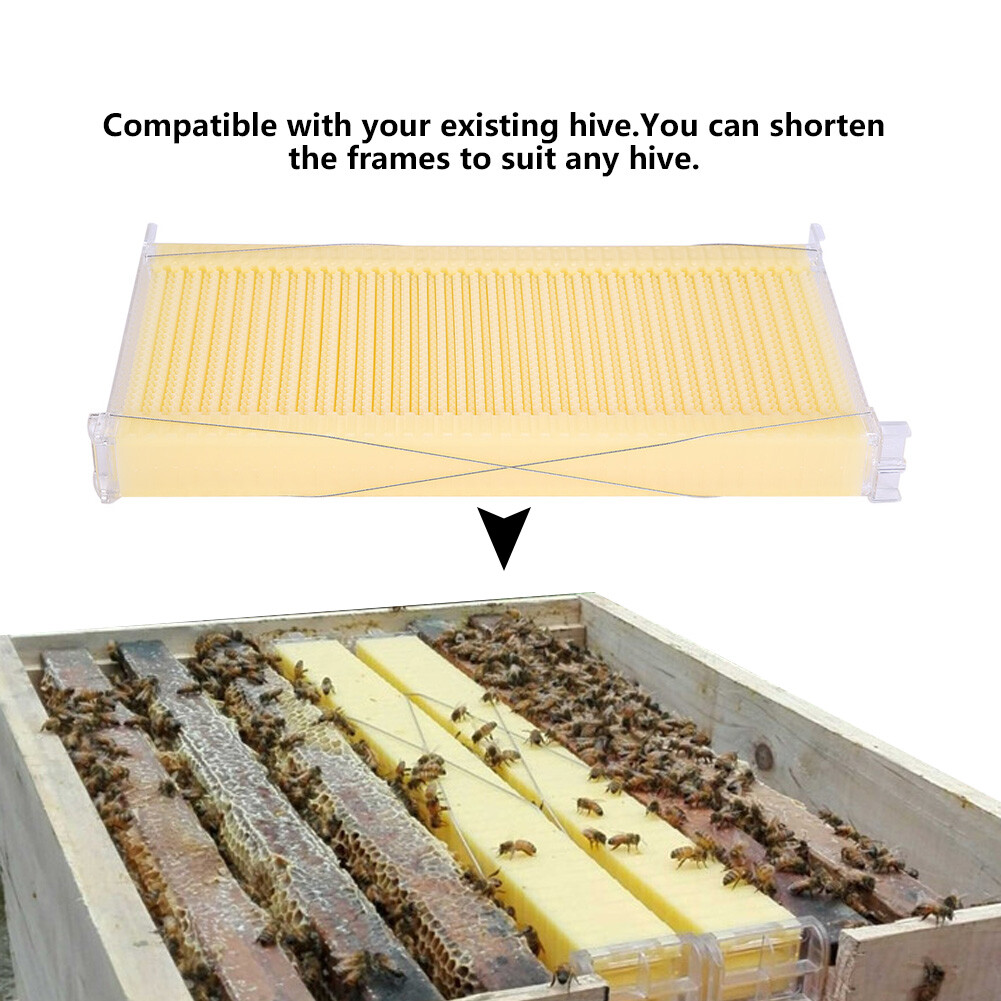 Cedarwood Beekeeping Auto Beehives House + 7PCS Auto Honey Bee comb Hive Frames