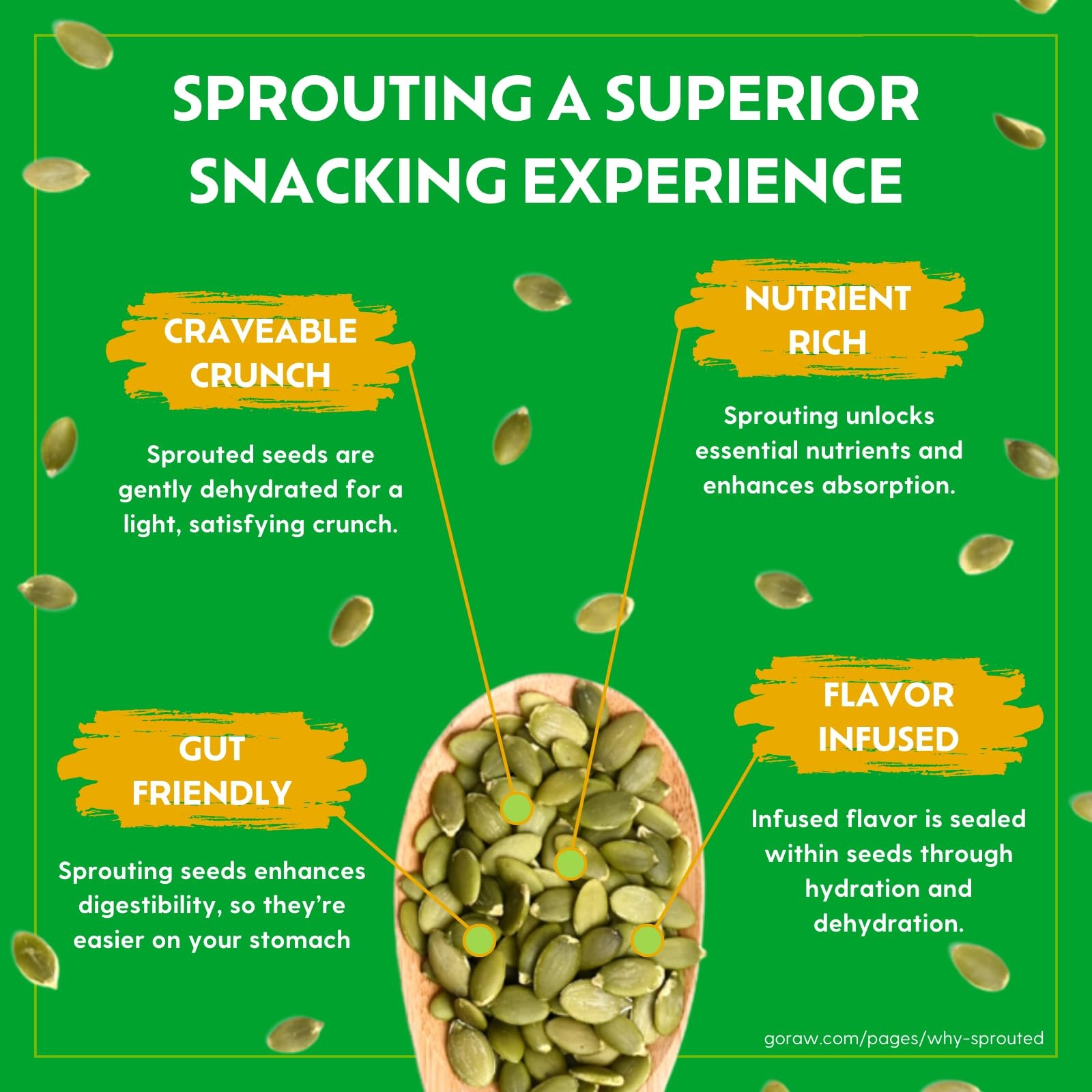 Go Raw Organic Sprouted Pumpkin & Sunflower Seeds, 10 ounce (Pack of 1), 6013