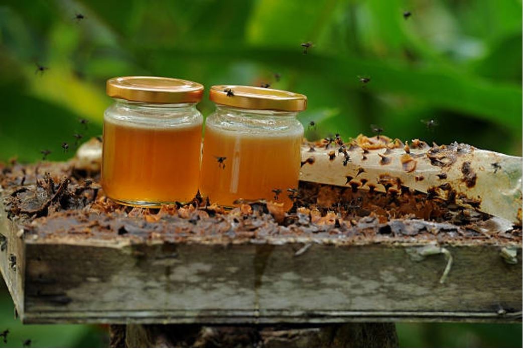 2x RAW KELULUT HONEY (Stingless Bee Honey) – 100% Pure Wild Harvest Superfood