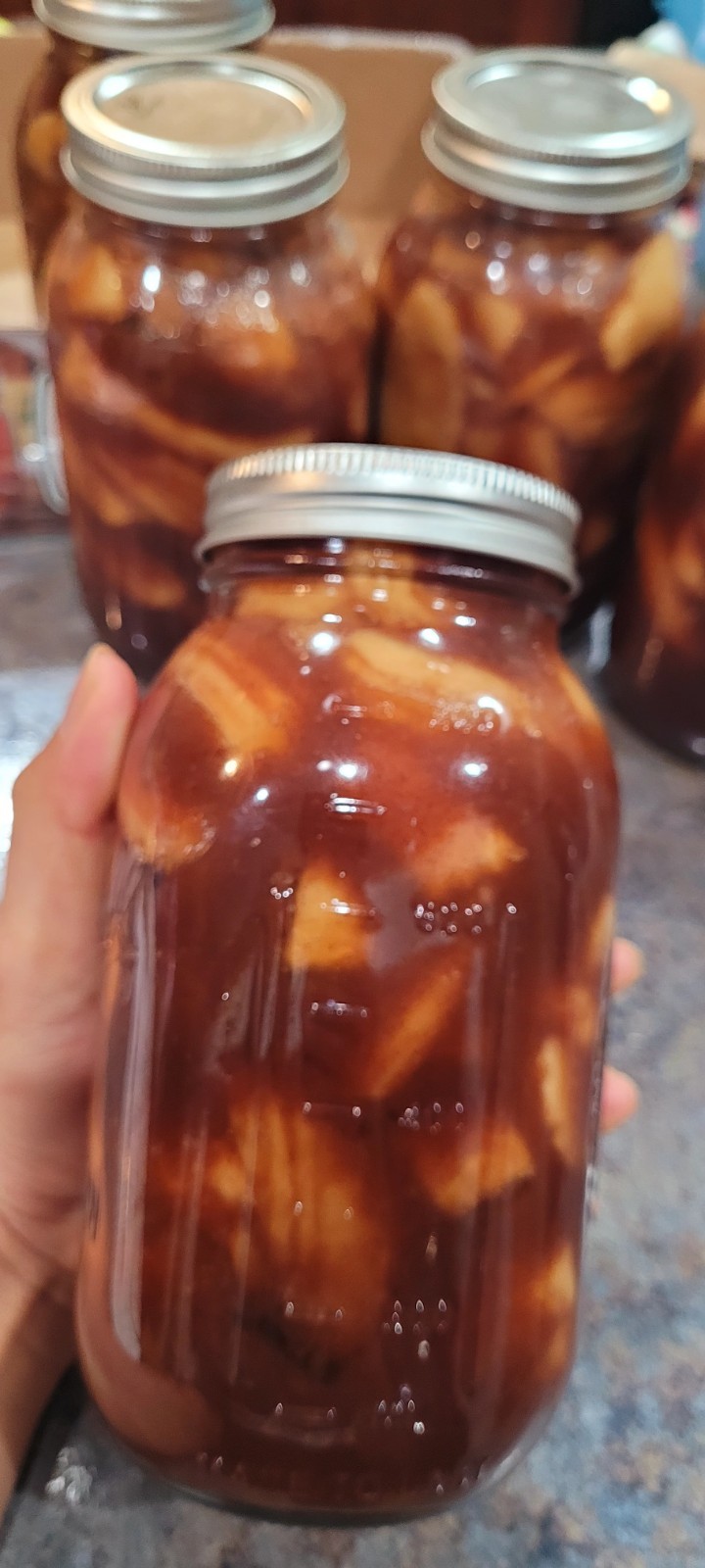 Home Made Apples Pie Filling 32Oz Quart Fresh Picked New Crop Washington Apples