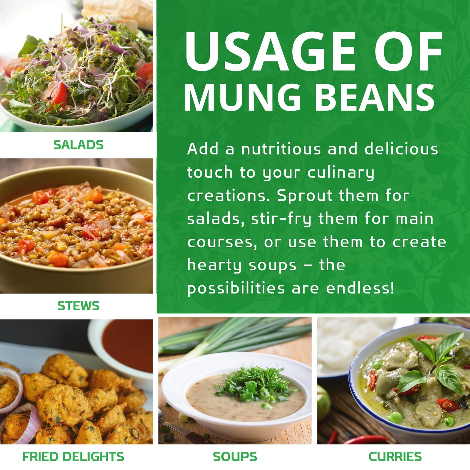 Jiva Organic Mung Bean – Moong Beens Whole 32 Ounce (Pack of 1), Green