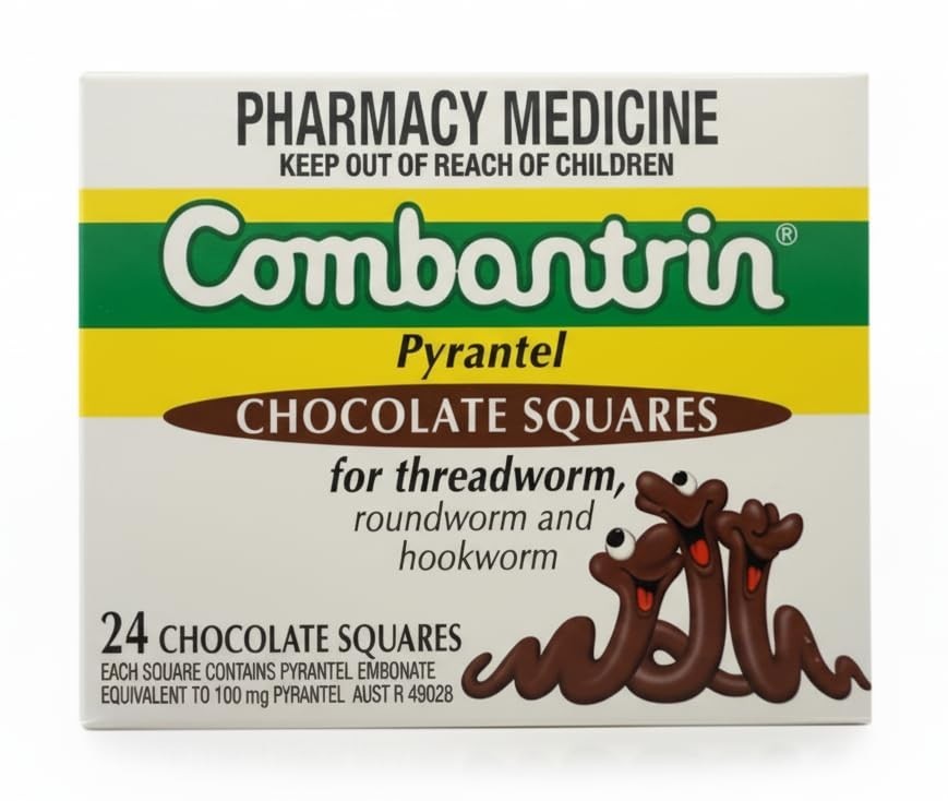 Chocolate Squares – 24 Pack – Made in Australia