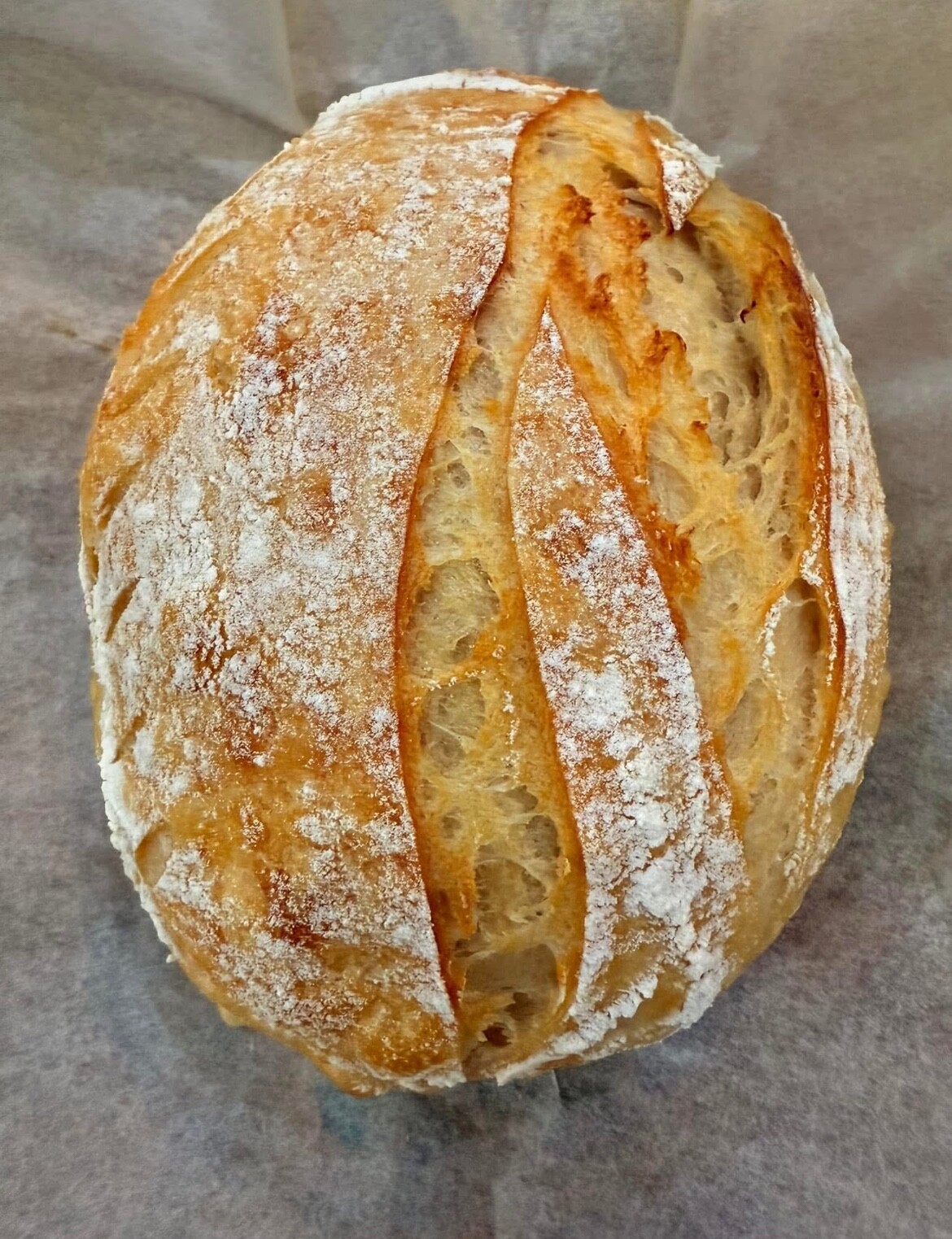 Verified Sourdough Starter Heritage San Francisco – Live 200yrs Old TOP SELLER!