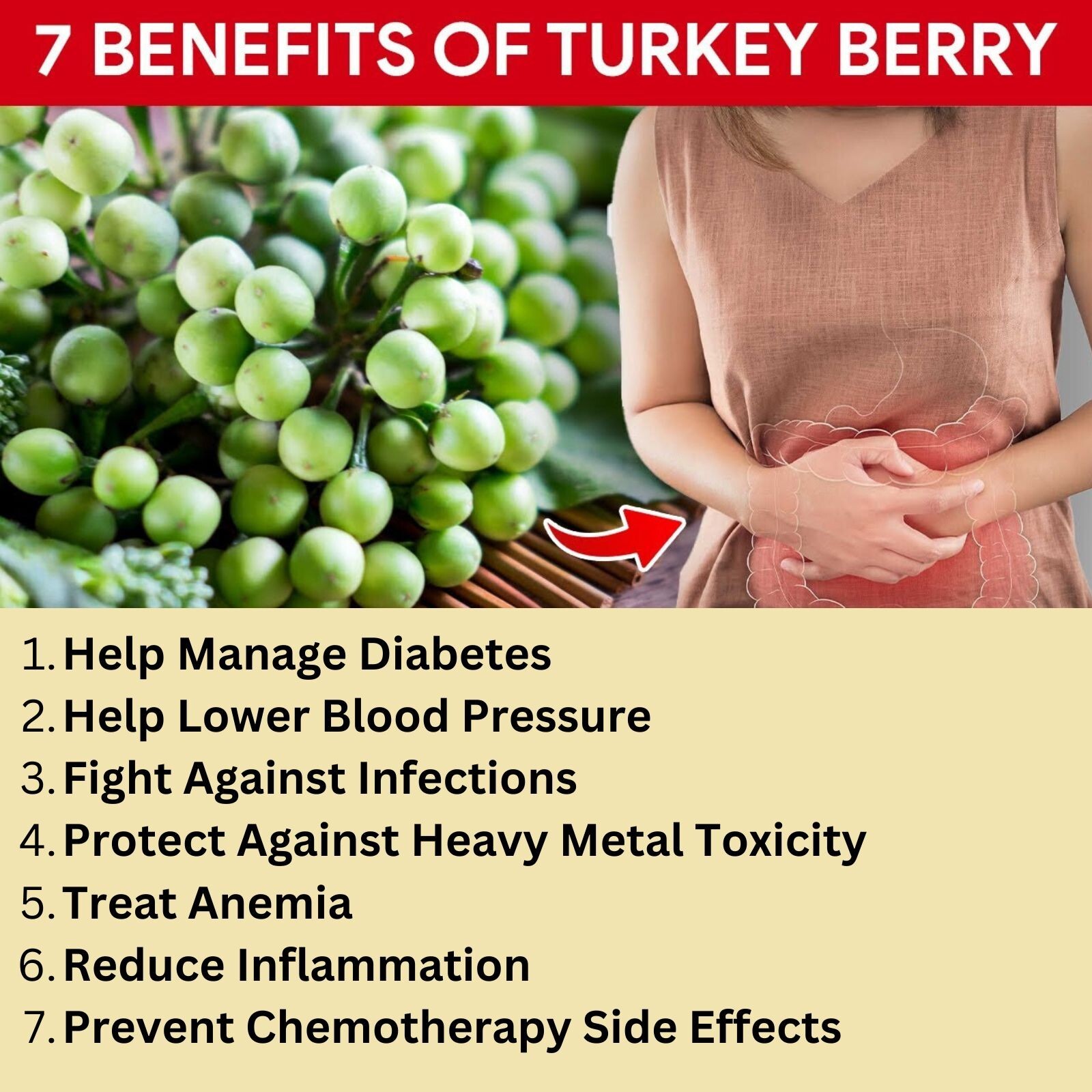 50Og Pure Organic Turkey Berry Leaves Sun Dried (Solanum Torvum) Natural Leaf