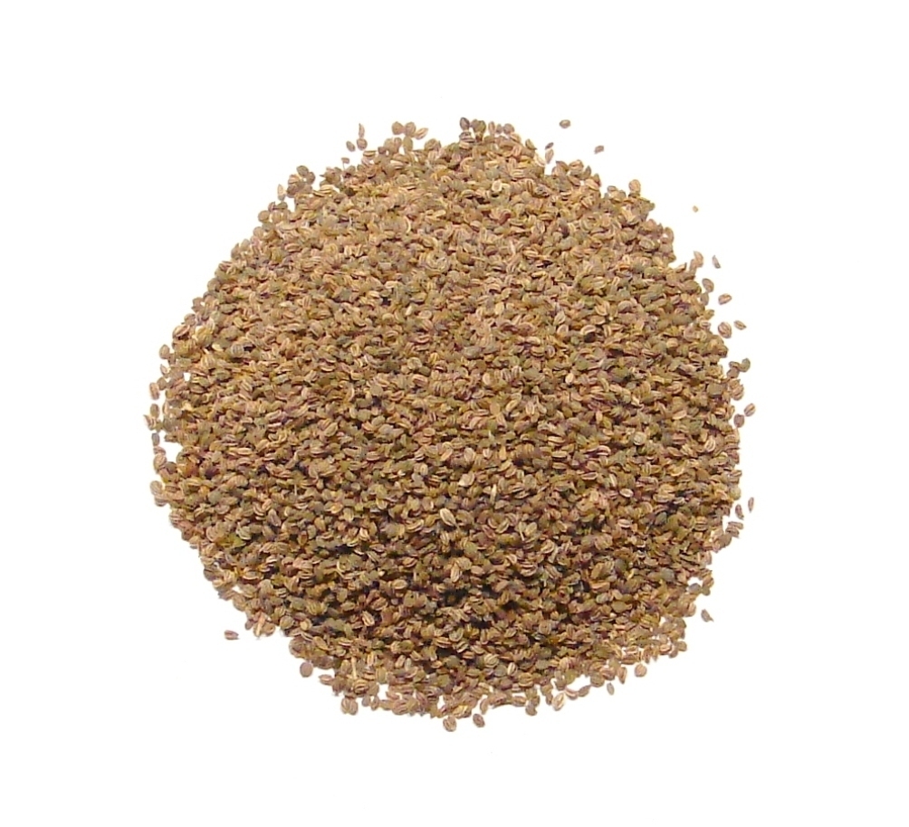 Celery Seeds, Whole – 1 Pound – Bulk Herbs & Spices by Denver Spice®