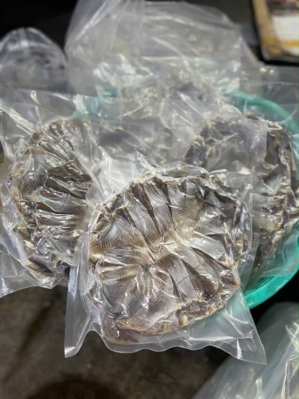 Sealed Sun Dried Stingray Fish 500g [ Kho Ca Duoi ]