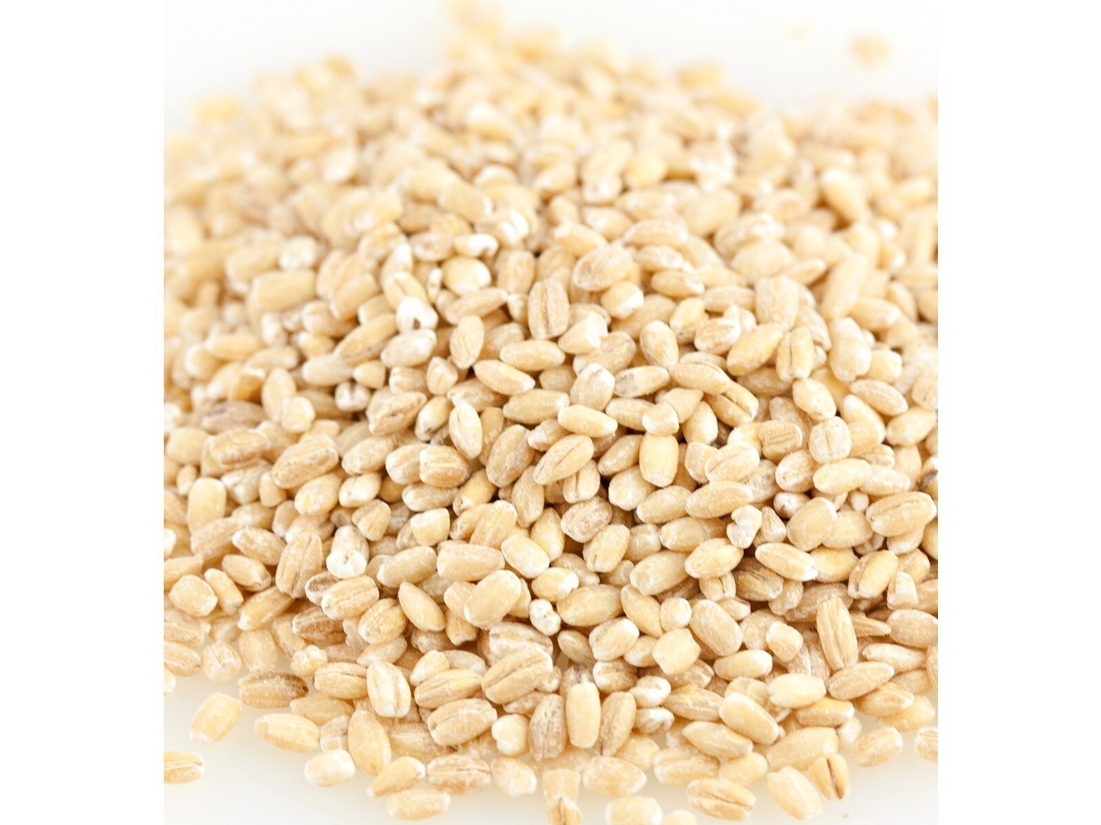 Organic Hulled Barley Bean Beans 10 Pounds Free Shipping