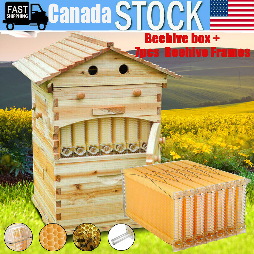 7 Pcs Auto Honey Beehive Frames+ Bee hive Beekeeping Wooden House Up Box Set
