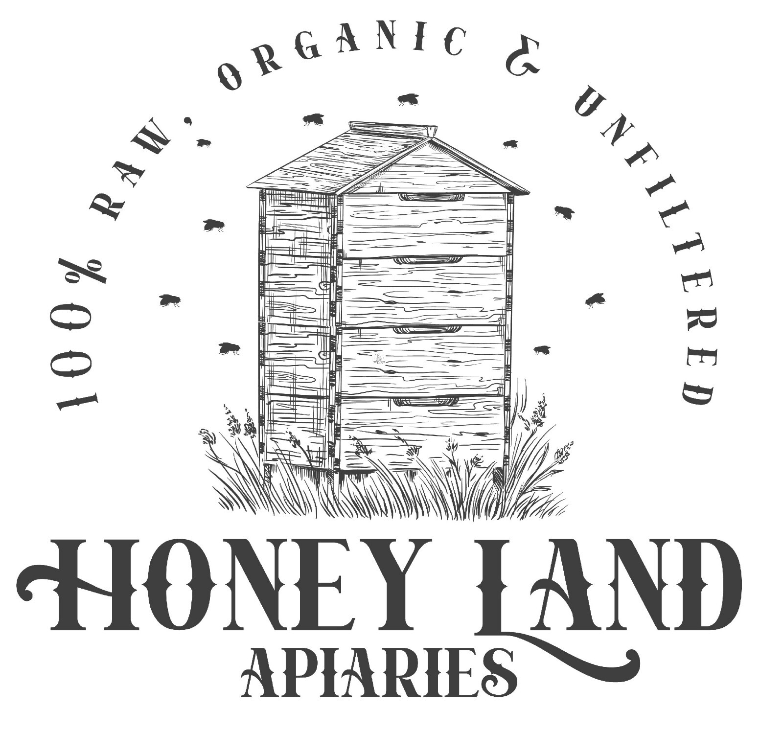 Raw Chunk Honey-1 lb (454g) – 100% Wildflower Local Organic Unfiltered GLASS JAR