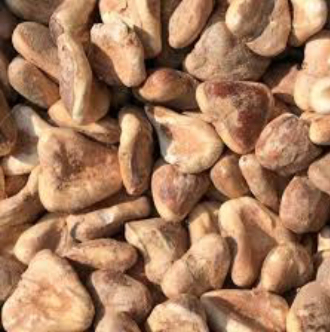 Dry Fruits Dried Pure Natural Singhara-Dry-Singhada-Sookha