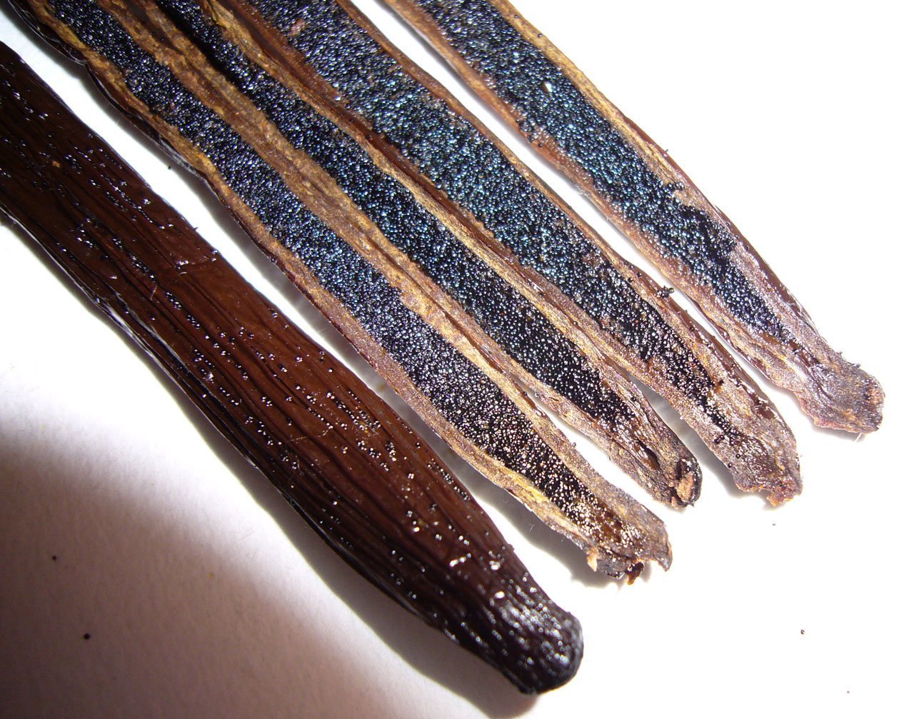 10 Madagascar Bourbon Vanilla Beans Grade A, Whole Beans for Baking and Extract