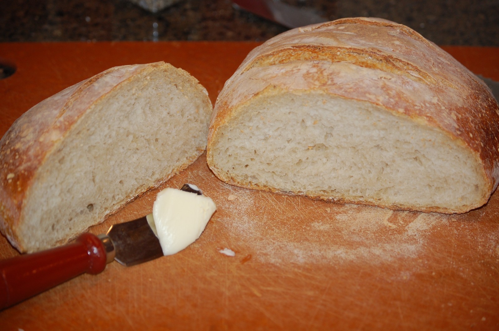 Gluten Free SOURDOUGH BREAD STARTER yeast San Francisco SAMMY plus recipes FRESH
