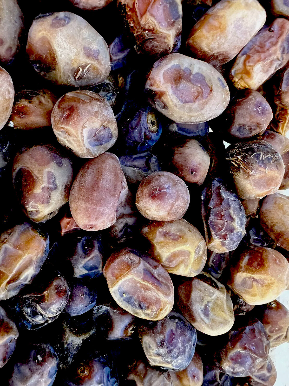 5 LB-BARHI BROWN DATES. CALIFORNIA FRESH. WE SELL MEDJOOL TOO! FAST SHIPPING.