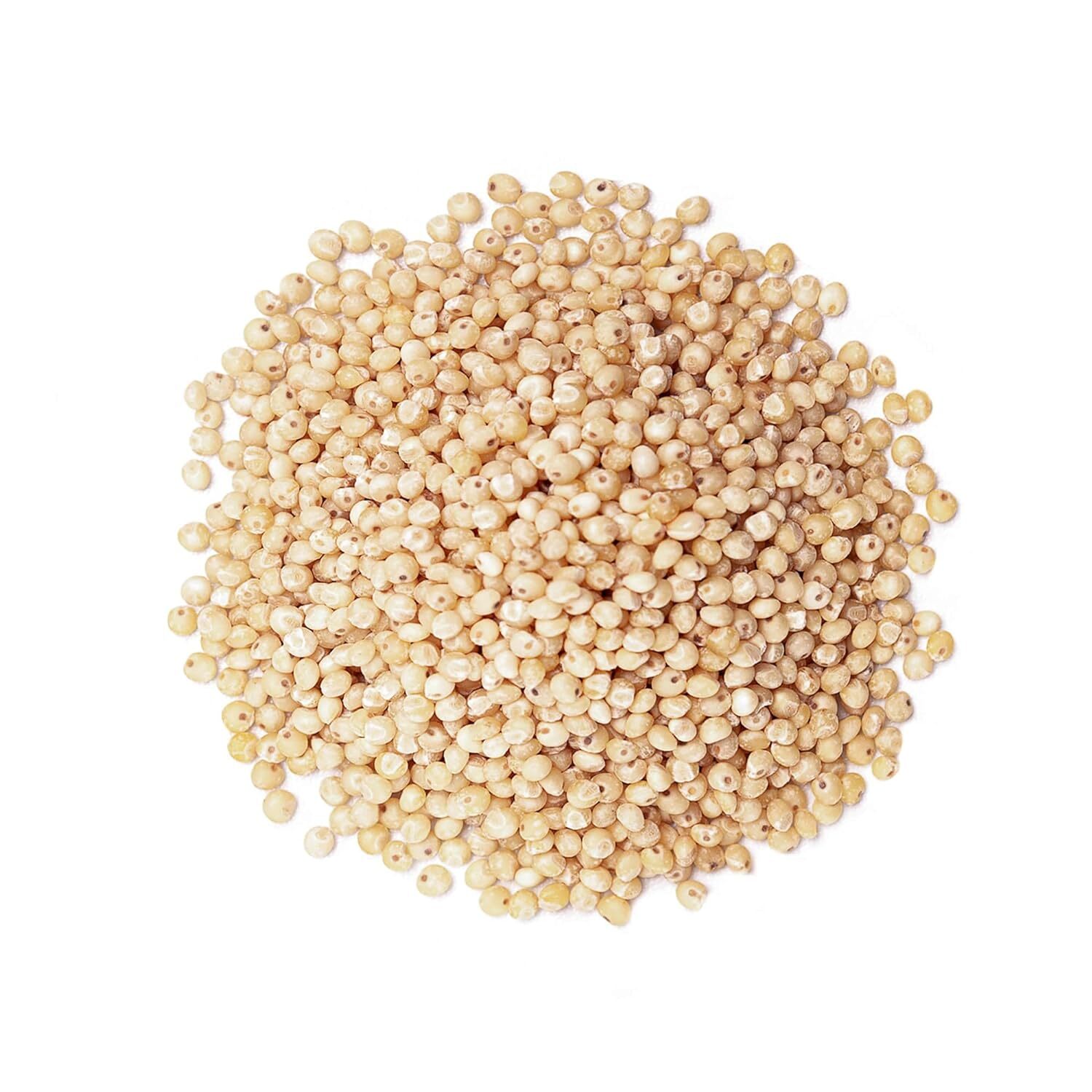 Organic Whole Grain Sorghum — Raw Milo Seeds. Vegan, Bulk Broom-corn