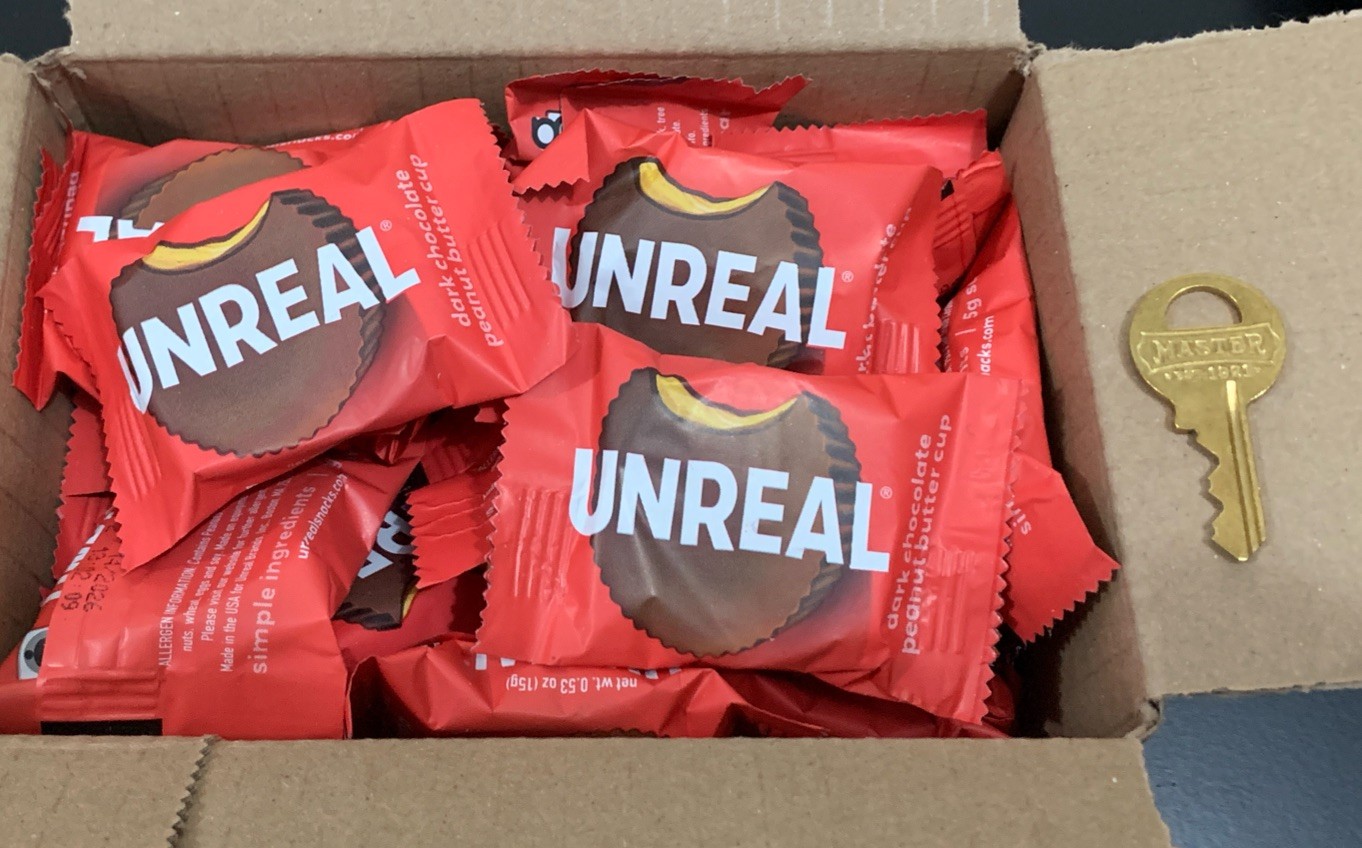 40 UNREAL Dark Chocolate Peanut Butter Cups Bite Size MINIs Candy BULK