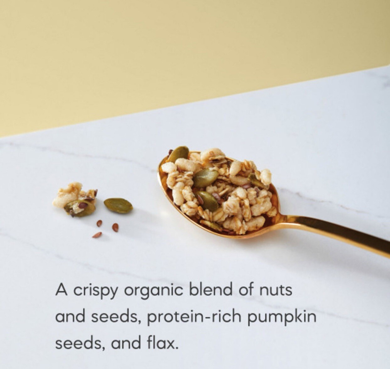 Nature’s Path Organic PUMPKIN SEED + FLAX Granola Fiber Protein 35.3 oz 1 BAG