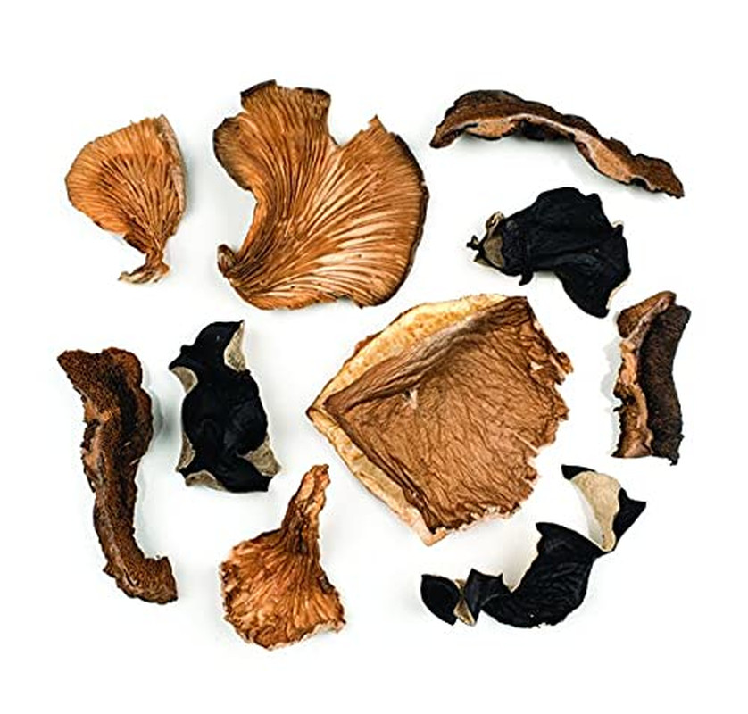 Premium Dried Mixed Wild Mushrooms, Specialty Imported Food, 1.41-Ounce Jar