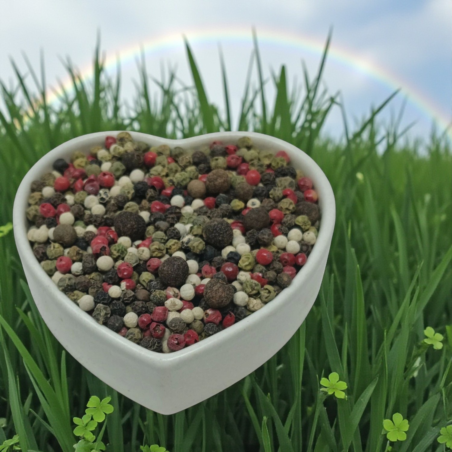 Michele’s Pantry Fresh Crop Mixed Peppercorns 5 pepper mix 8 oz