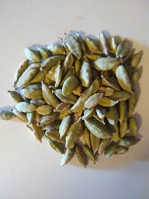 Cardamom Pods (Elettaria cardamomum) Organic 1 oz.