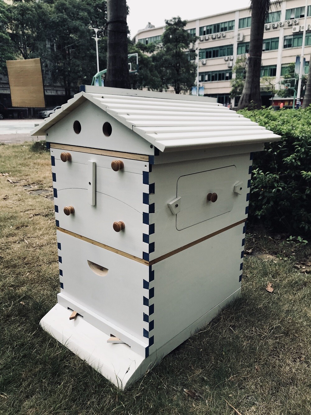 Fir Wooden Beekeeping Beehive House +7x Upgraded Auto Honey Bee comb Hive Frame
