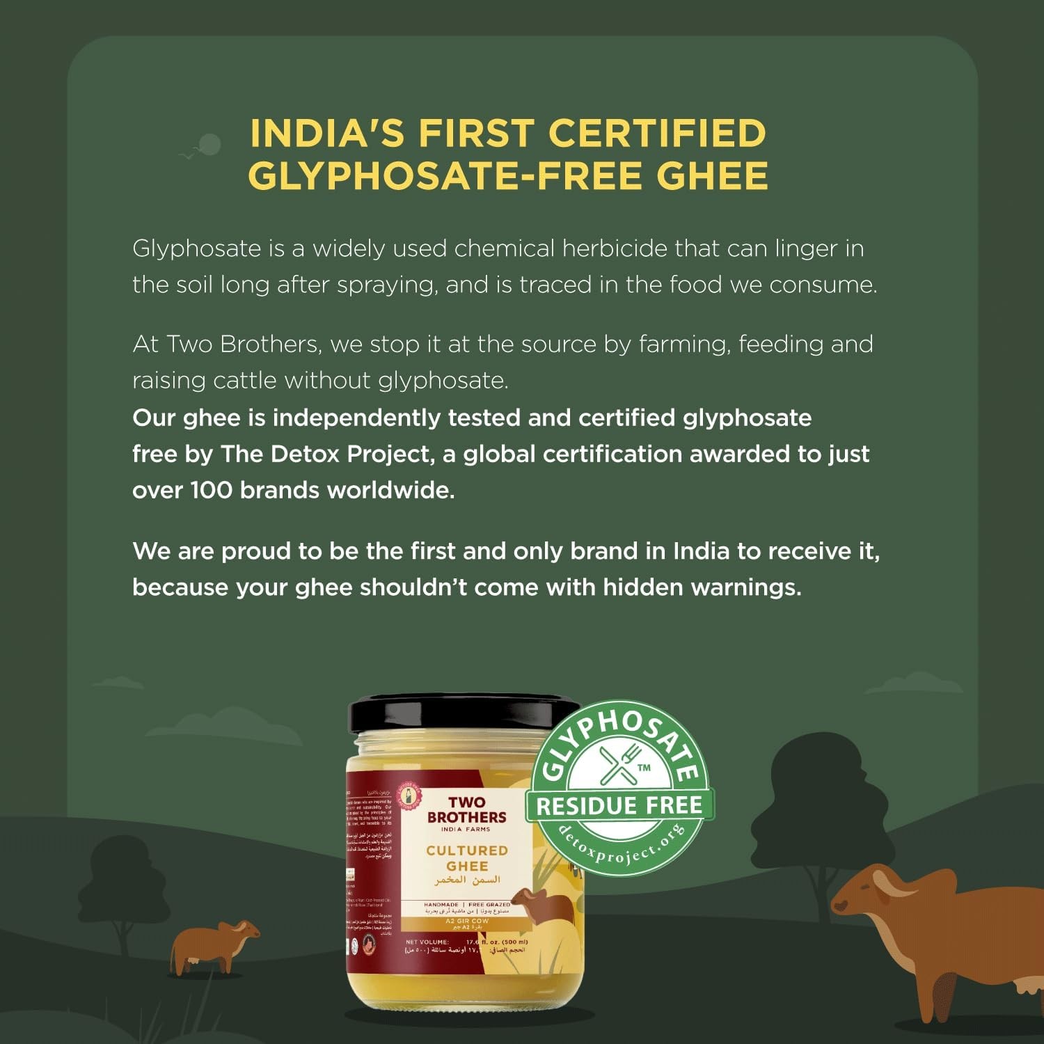A2 Ghee Butter Grass Fed from Gir Cow | Gut Friendly | Healthy Butter Alterna…