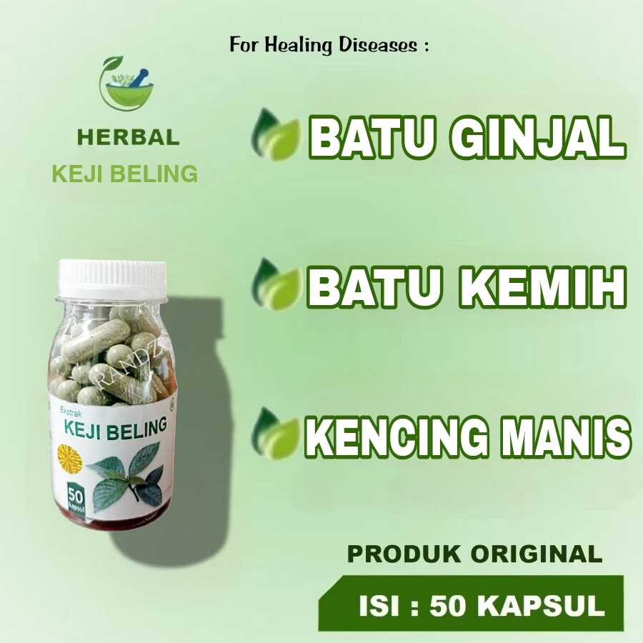 keji beling Natural Organic Herbs Spices Fresh Pure Hygienic Premium Original