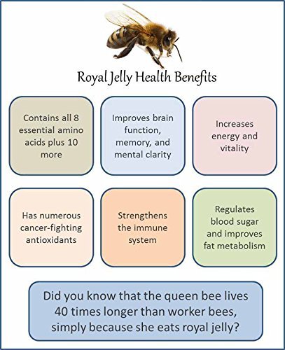 Mujeza Raw Mountain Sidr Honey with 100% Enriched Pure Fresh RoyalJelly 500g