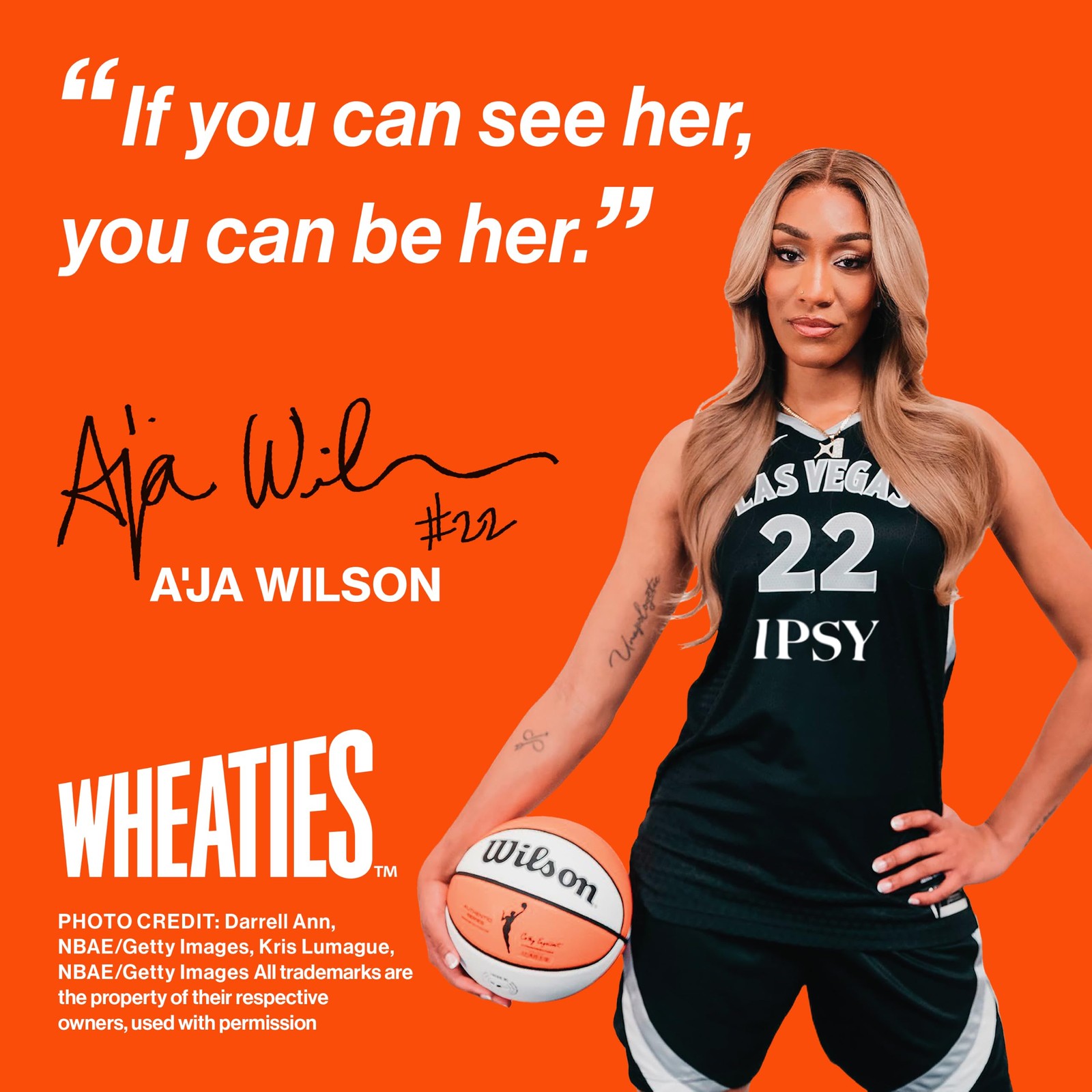 Cereal, Breakfast of Champions, A’ja Wilson Cereal Box, 100% Whole Wheat Flak…