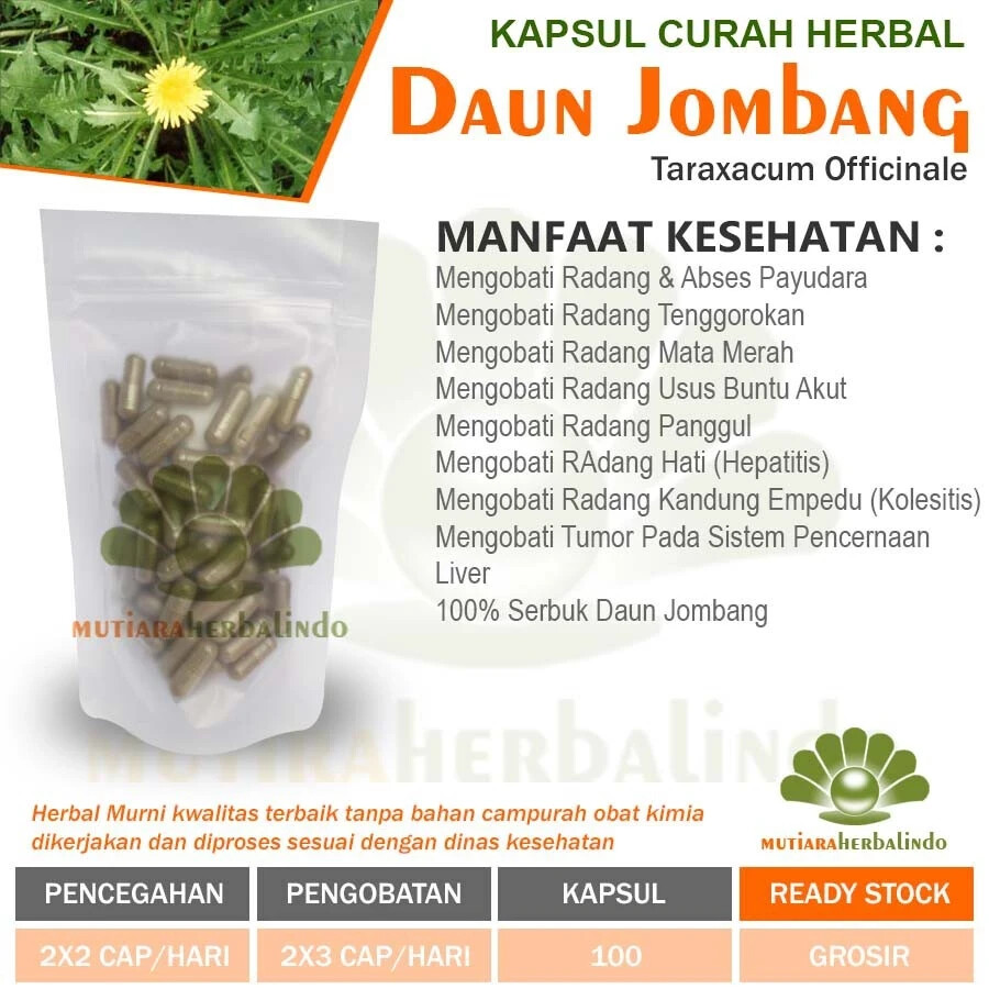 DAUN JOMBANG Powder Caps Natural Organic Herb Spices Fresh Pure Hygienic Premium