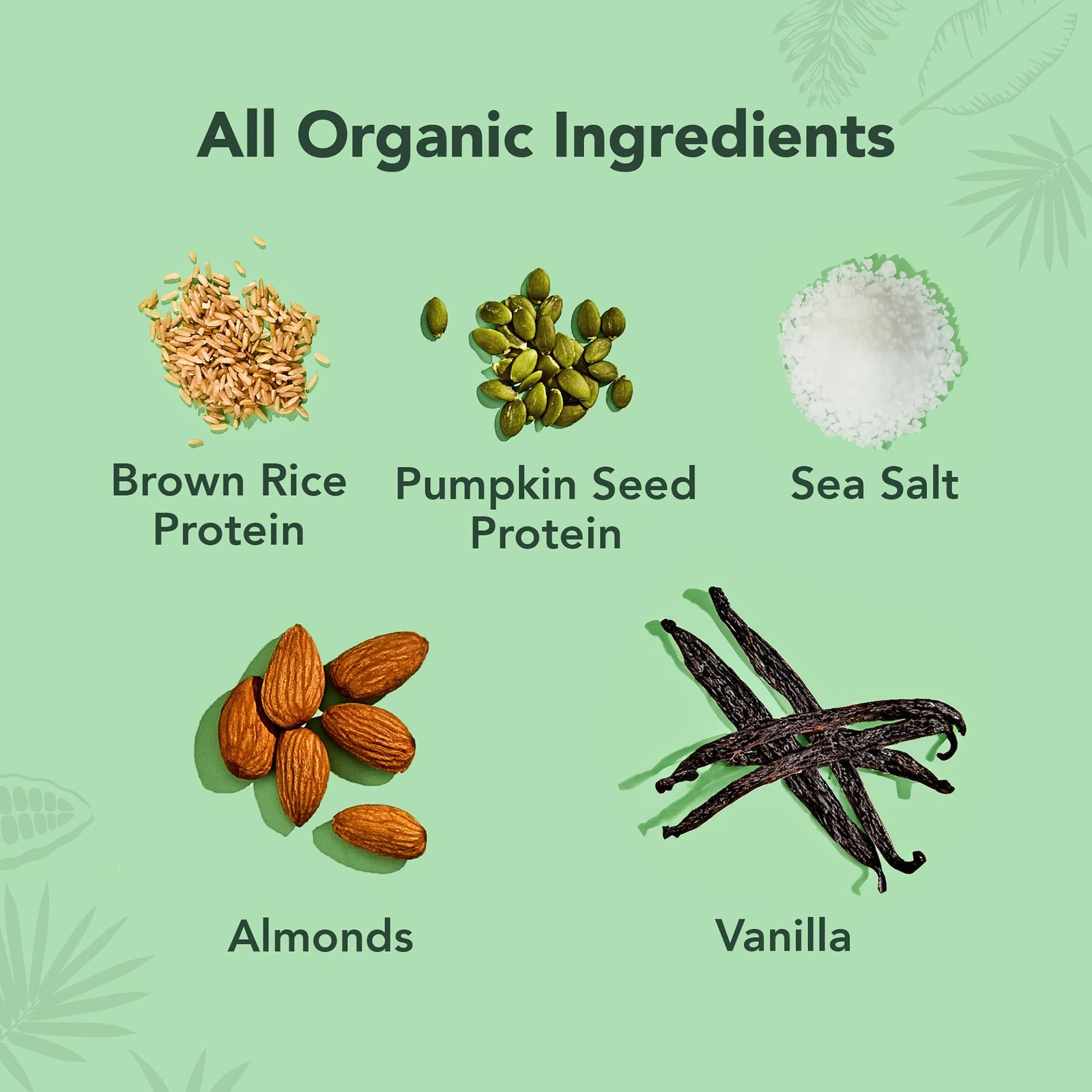 Aloha Organic Vanilla Almond Crunch Bar 12 Count, 12 Count (Pack of 1), …