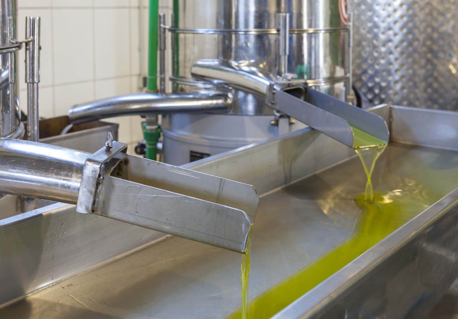 2023 Crop Extra Virgin Olive Oil Cold Pressed Bulk 5 Gallon 19 Liter