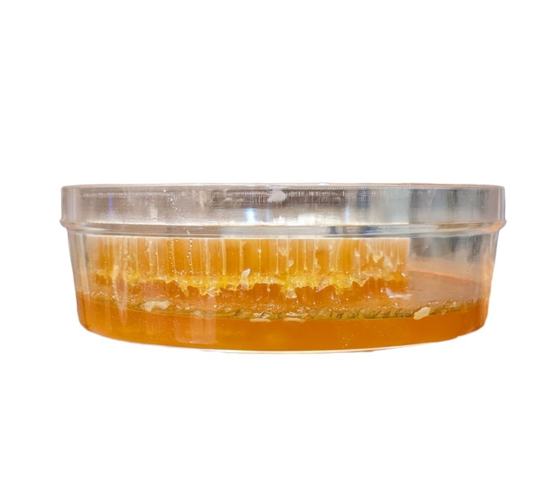 HONEYCOMB 2 Pack 17.6oz 500g each 100% PURE UNFILTERED HONEY COMB DELICIOUSNESS