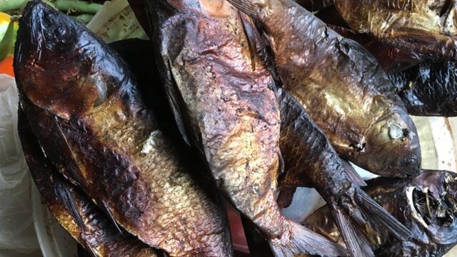 African Smoked Bonga Boney Fish (Smoked Herring) Agbodo Fish- 1 Pack of 6 Units