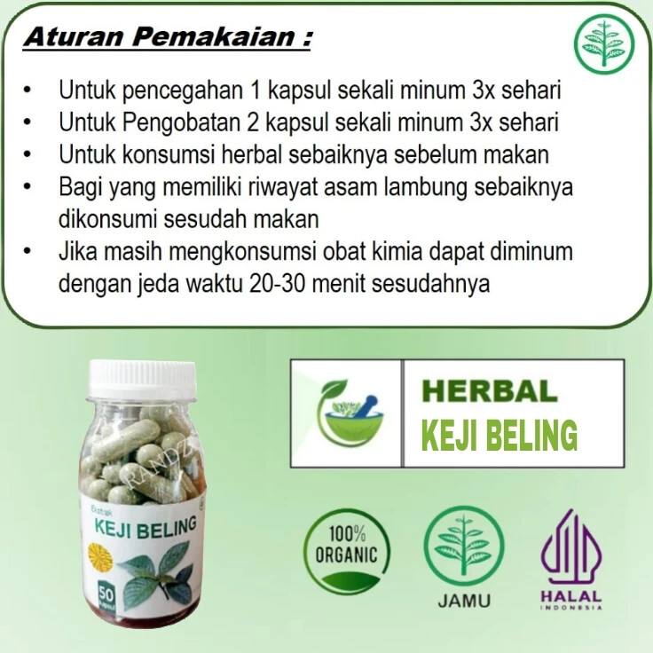 keji beling Natural Organic Herbs Spices Fresh Pure Hygienic Premium Original