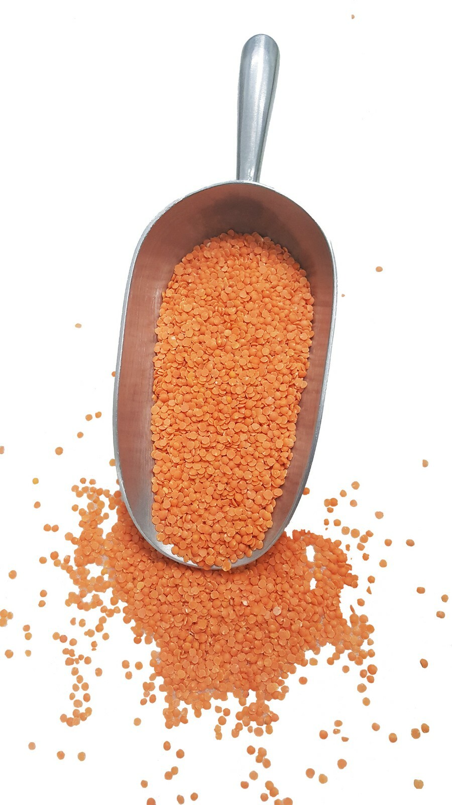 Organic Red Split Lentils aka Masoor Dal non-GMO Bulk rich in Iron and Protein