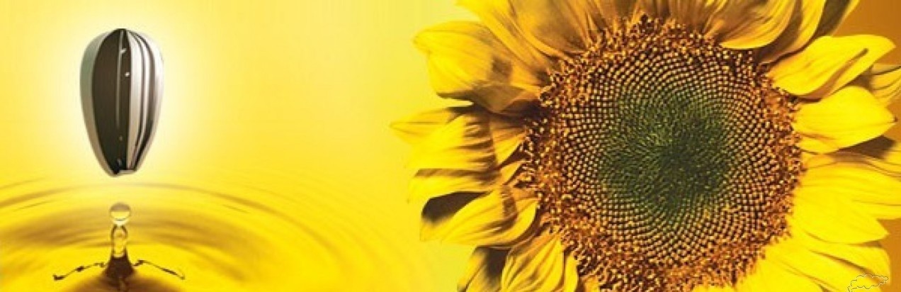 Refined Sunflower Oil 1L x2 | Light Cooking Oil from Russia