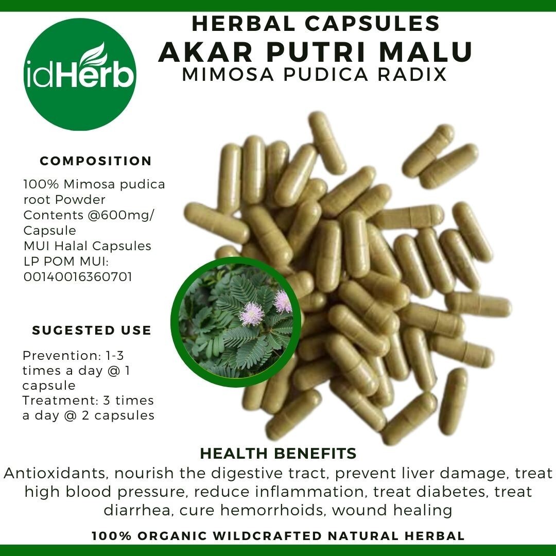 Capsules Mimosa Pudica Radix Akar Putri Malu Natural herbal Organic 100% Herbs