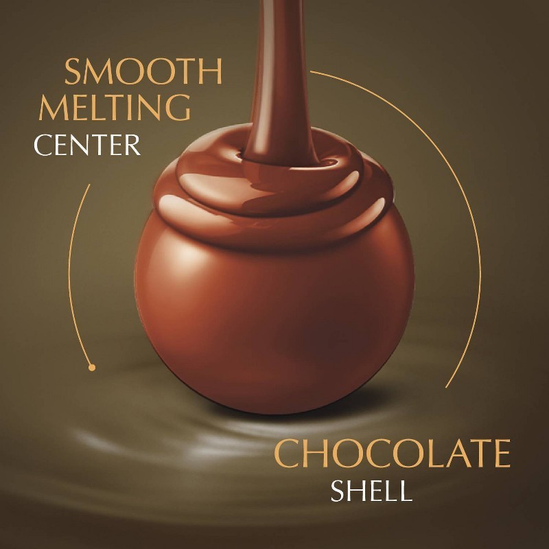 Lindt Assorted Chocolate Candy Truffles Bag 12.7oz