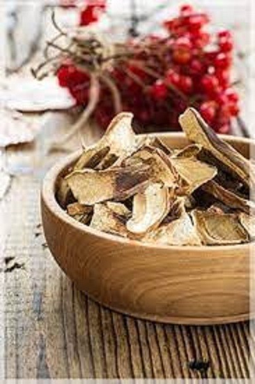 Dried porcini (Boletus) from Ukraine Carpathian mountaines.